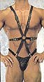 Body Harness